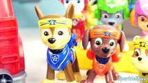 Paw Patrol Kung Fu pups switch clothes