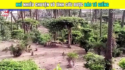 Khỉ nhiều chuyện vô tình cứu được báo té giếng