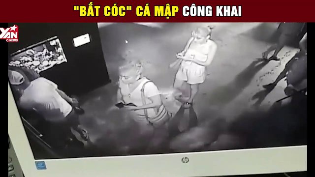 Tỉnh bơ bắt trộm cá mập bằng... xe đẩy em bé giữa chốn đông người