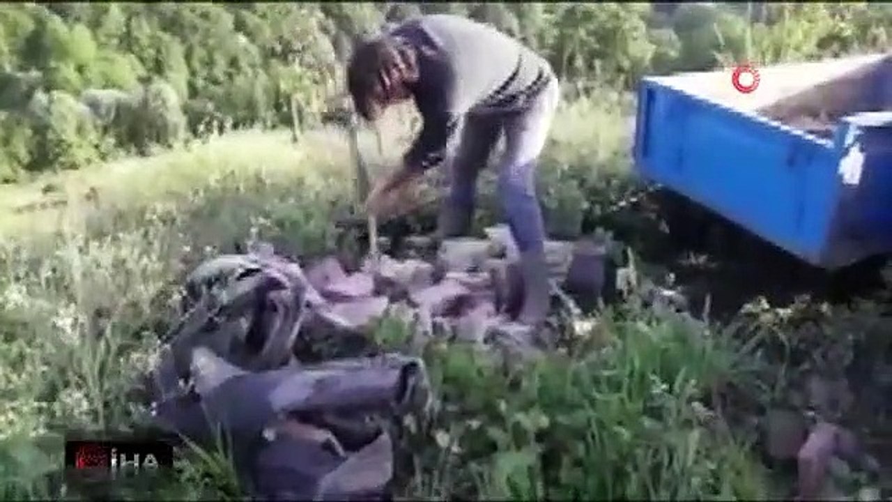 Yılanı deliğinden tatlı dille çıkartmaya çalıştı ama...