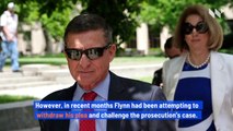 US Drops Criminal Case Against Michael Flynn