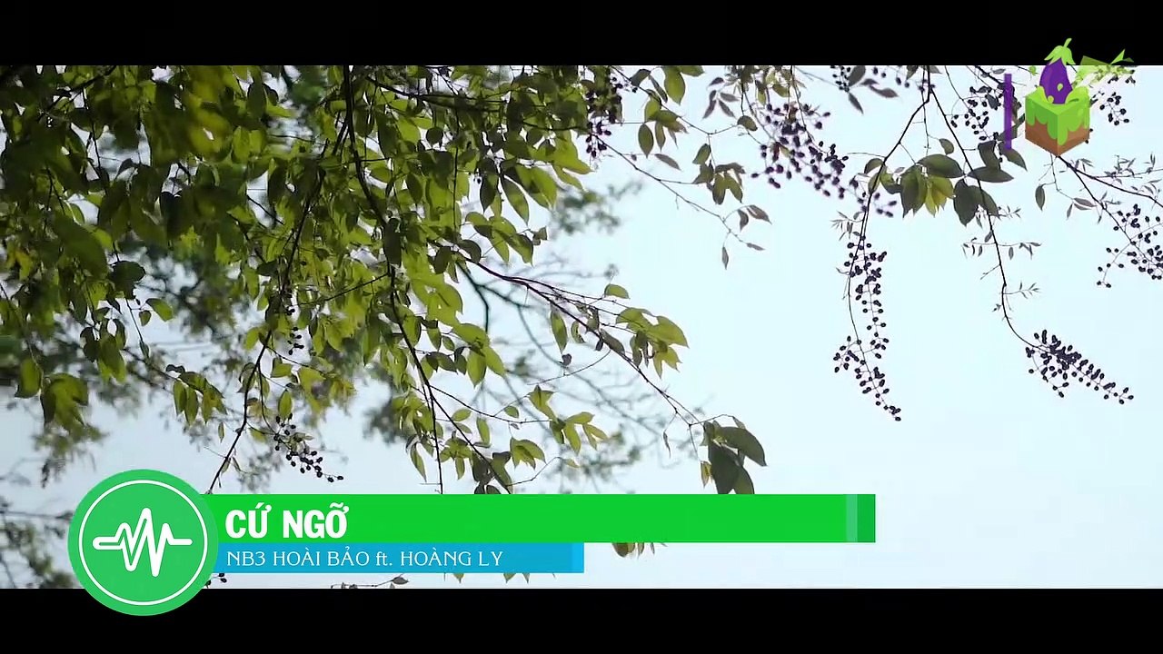 Cu_Ngo_-_NB_Hoai_Bao_ft._Hoang_Ly-cdd