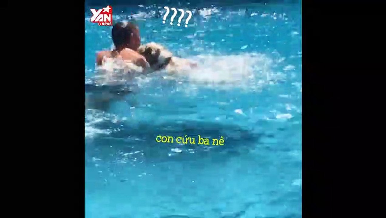 Clip đáng yêu về những chú chó cứu chủ