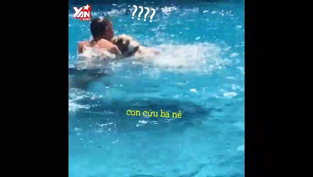 Clip đáng yêu về những chú chó cứu chủ