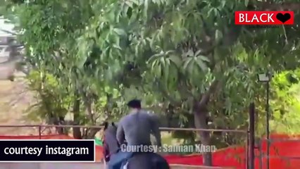 सलमान खान, जैकलीन फर्नांडीज और इउलिया वंतूर Riding Horse at Panvel Farmhouse | Salman Khan