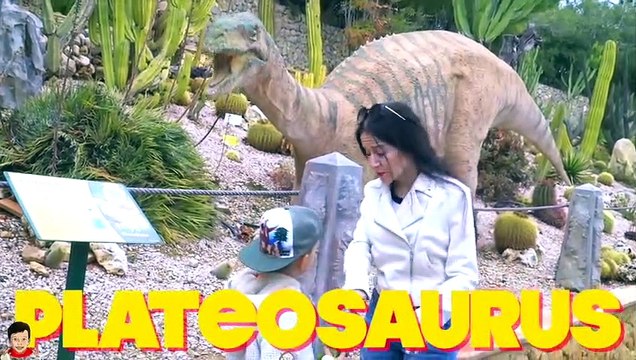 Artem plays with Different Toys - Video collection for Kids