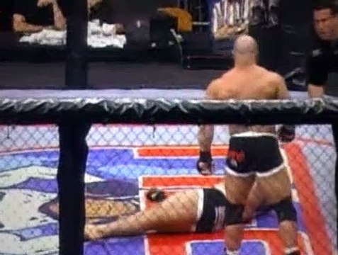 UFC Ultimate Knockouts 1 [Ultimate Fighting Championship]
