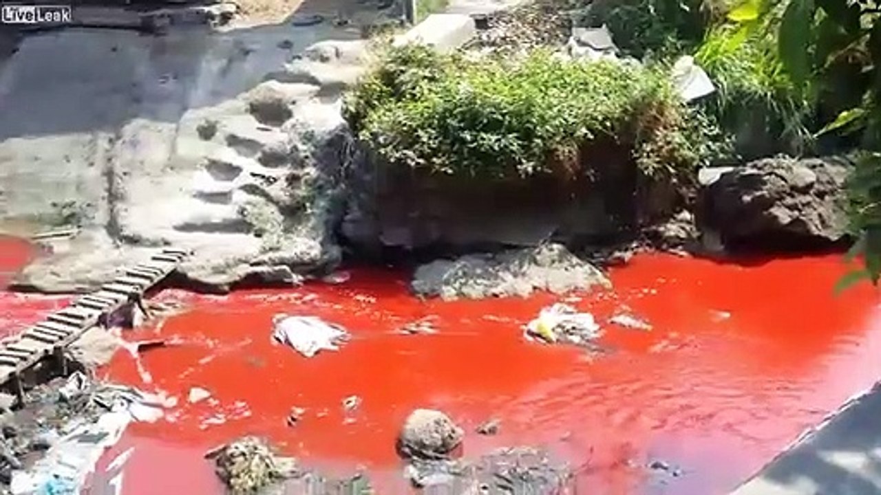 Blood-River-In-Philippines