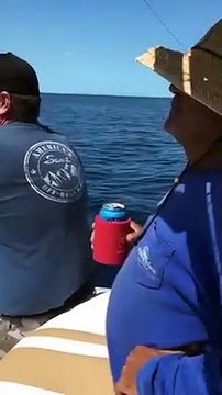 Il pêche un requin... à moitié dévoré par un autre requin