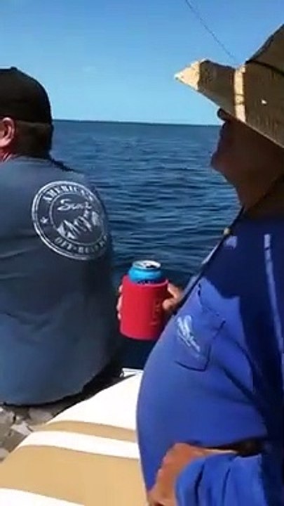 Il pêche un requin... à moitié dévoré par un autre requin