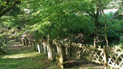 Spiritbox-Sitzung am jüdischen Friedhof - UNGLAUBLICHE RESULTATE