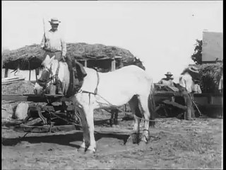 SFP _ Albert LONDE _ 1898 _ chevaux entraînant meule de moulin
