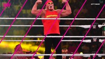 Hulk Hogan Shares Photo of Scars From 10 Back Surgeries