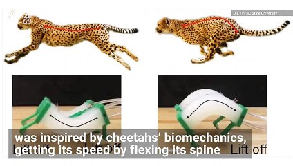 Cheetahs Inspire Robot That's 3 Times Faster Than Others Like It