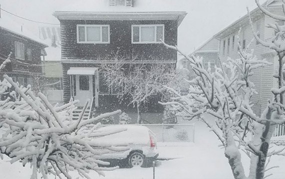 Bone-chilling cold in America, mercury dips to -50 degree