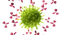 New Research: Coronavirus Antibodies In Over 99% Of Recovered Patients
