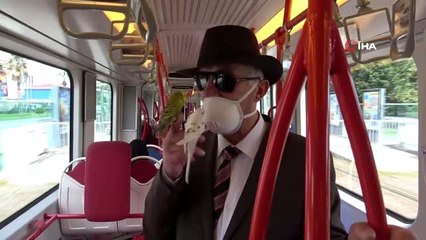 Her yere muhabbet kuşları 'Süslü' ve 'Beyaz' ile gidiyor