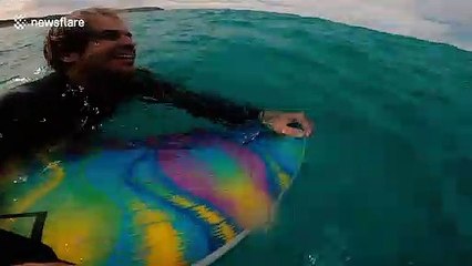 Besties! Amazing moment Australian surfer hangs out with bottlenose dolphin friends