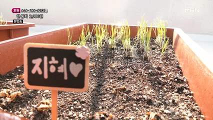 텃밭의 이름을 '지혜'라고 지은 이유