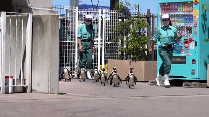 Encontros inusitados