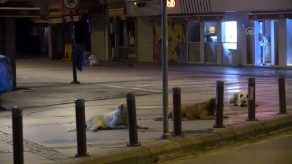 24 ildeki sokağa çıkma kısıtlaması başladı - İZMİR