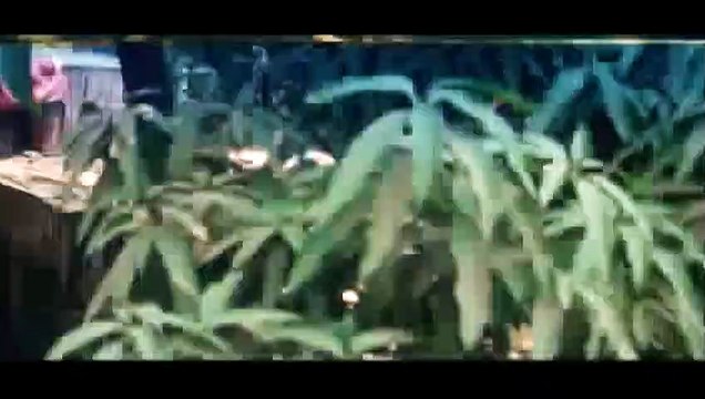 Zindagi Se Jung — Alka Yagnik | (From Talaash — (Film 2003)) { Song } | Akshay Kumar / Kareena Kapoor / Pooja Batra | Magic | Bollywood | Indian Collector | भाषा हिंदी | बॉलीवुड की सबसे अच्छी