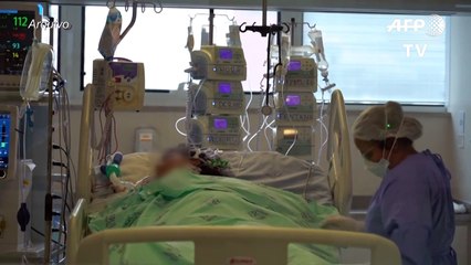 Novo recorde de mortos