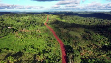 Desmatamento recorde na Amazônia