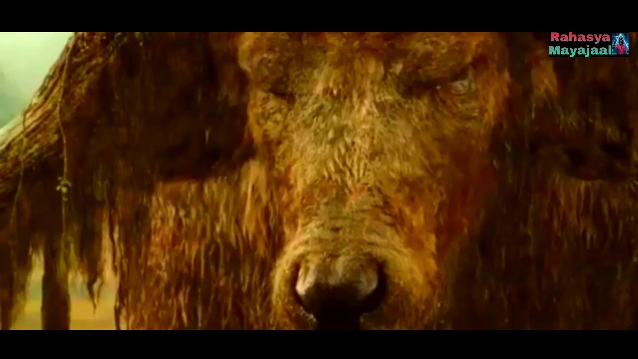 বিশ্বের ৭টি সবচেয়ে বড় প্রাণী || TOP 7 BIGGEST ANIMALS | Mayajaal || Mayajaal video.....