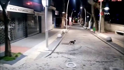 Vatandaşlar kısıtlamaya uydu, sokaklar sessizliğe büründü