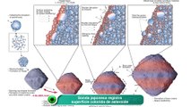 Sonda japonesa registra superfície colorida de asteroide