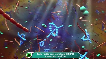 Teste rápido com tecnologia CRISPR é aprovado nos EUA
