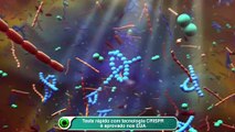 Teste rápido com tecnologia CRISPR é aprovado nos EUA