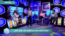 Gemelos