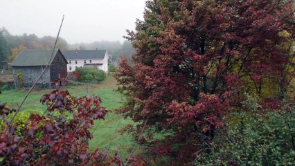 God Knows Where I Am movie