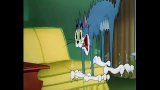 The Missing Mouse - Tom & Jerry - Kids Cartoon
