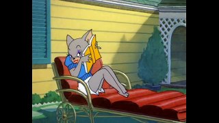 Smitten Kitten - Tom & Jerry - Kids Cartoon