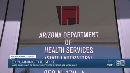Explaining the spike in COVID-19 cases in Arizona