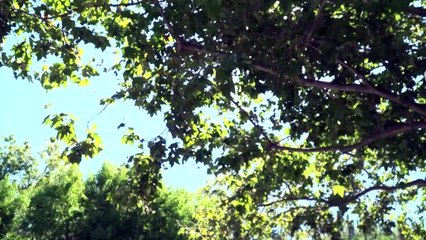 Google y Facebook postergan regreso a trabajo presencial hasta 2021