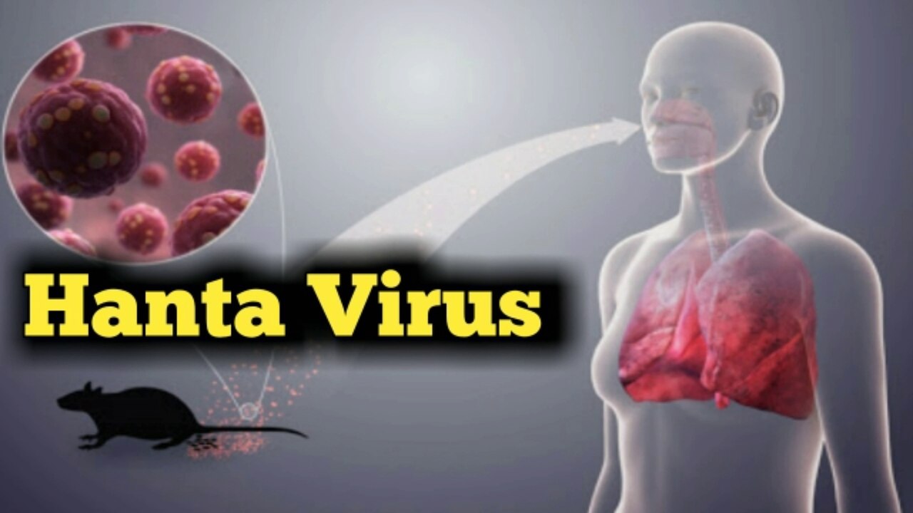 Hanta Virus || Hanta virus symptoms, effects and prevention || hantavirus is epidemic || Hantavirus medicine|| Hantavirus vaccine ||  symptoms of hantavirus || hantavirus in bengali  || hanta virus in china ||  pin global universe || hantavirus treatment