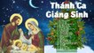 Bài Thánh Ca Buồn - Thánh Ca Giáng Sinh Chọn Lọc MỪNG SINH NHẬT CHÚA - Nhạc Noel Hay Bất Hủ