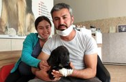 Bir an bile düşünmedi! Binlerce arının saldırdığı köpekleri tek başına kurtardı