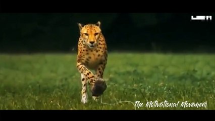 Motivational video | This will change your mind | whatsapp 30 sec video |