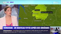 Coronavirus: en Dordogne, un foyer détecté après des obsèques