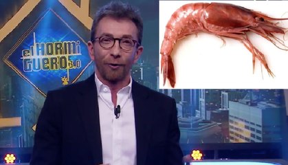 El zasca del mendigo de las gambas que dejó KO a Pablo Motos por pasarse de listo