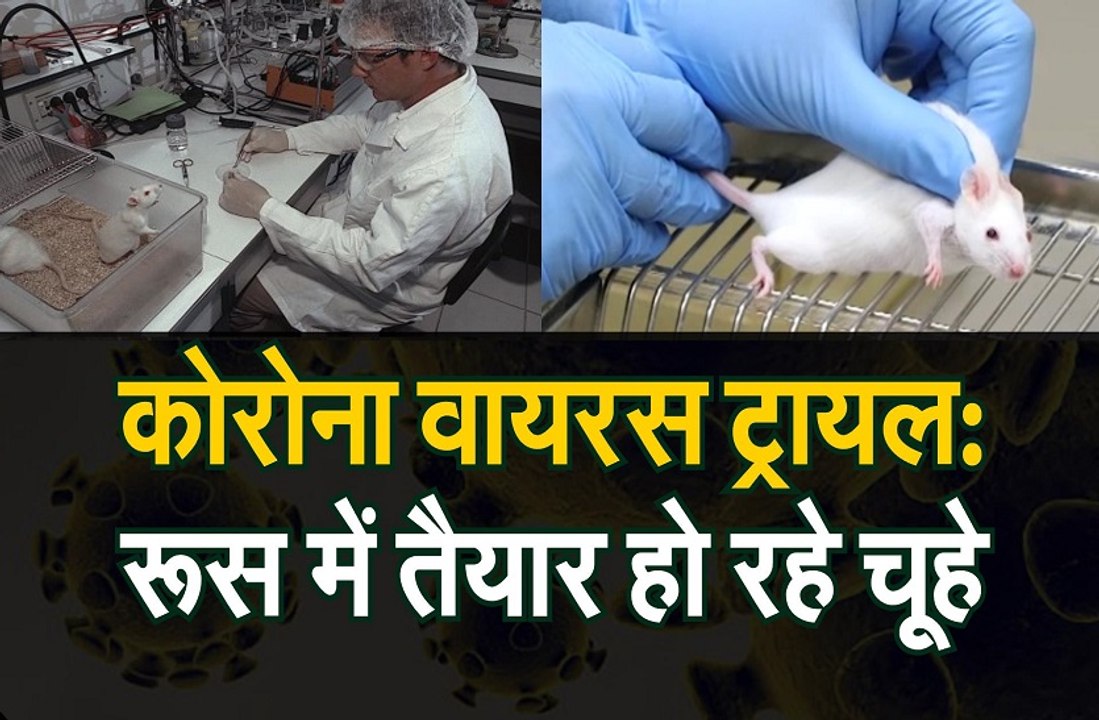 तेजी से हो सके कोरोना वैक्सीन ट्रायल,  इसके लिए...