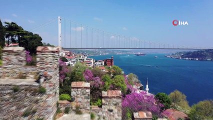 Vali Yerlikaya’dan erguvan paylaşımı