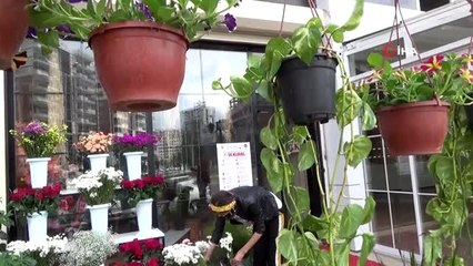 Sokağa çıkma kısıtlamasından muaf tutulan çiçekçiler Anneler Gününe hazır