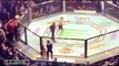 Conor McGregor Team-Khabib Nurmagomedov Team  brawl after UFC 229