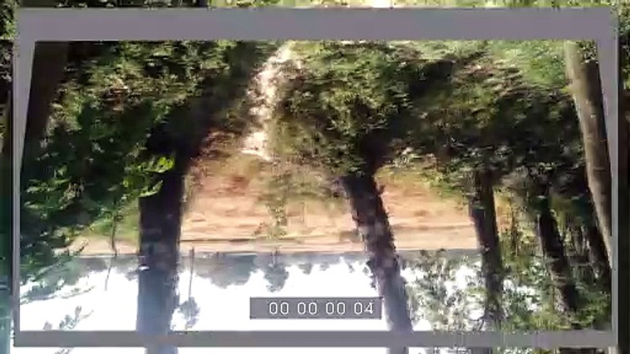 intro video